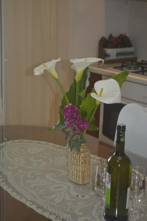 Marin Apartment Bibinje Zewnętrze zdjęcie